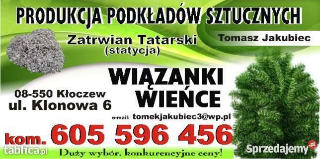 Zatrwian tatarski statycja Ryki sprzedam