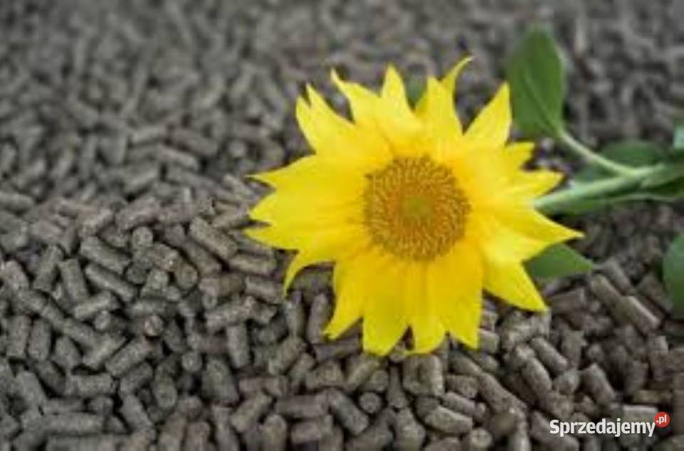 PELLET SŁONECZNIKOWY z dostawą do domu 1890 Toruń sprzedam