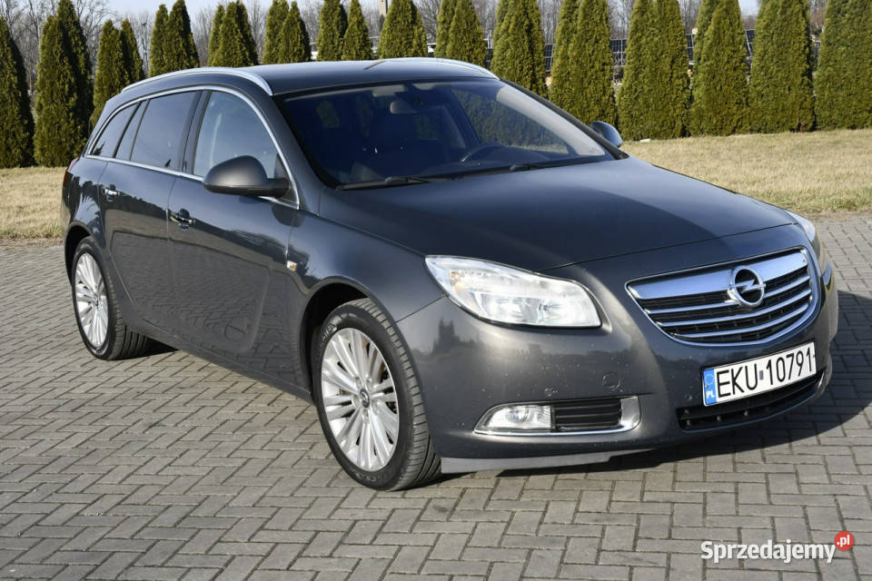 Opel Insignia 20D DUDKI11 czujnik parkowania Kutno