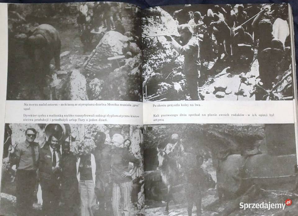 Z Tomkiem i Moniką w pustyni i w puszczy W