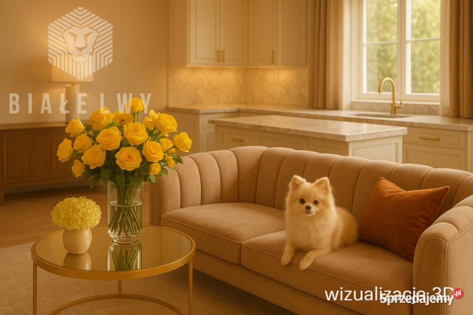 sprzedaży mieszkania Warszawa Pustułeczki własność mazowieckie