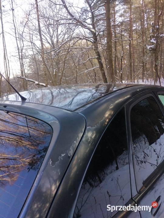 sprzedam citroena xara picasso 20 hdi 90 lubelskie Janów Lubelski