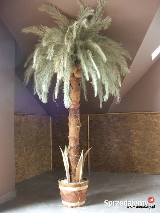 Palma sztuczna Sztuczne drzewka 25m kujawsko-pomorskie Wąbrzeźno