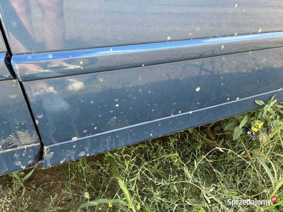 Drzwi Prawe Przód Audi A4 B7 Sedan osobowe Drzwi Wisznice
