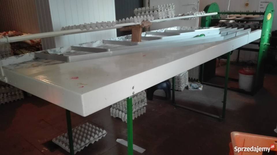 Sortownica do jaj jajek BENHIL Kożuchów