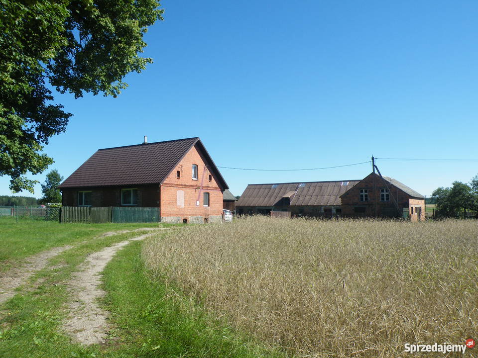 Domek pod lasem w Borach Tucholskich Brzozie