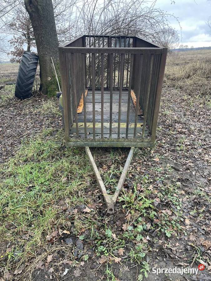 Sortownik do ziemniaków lubuskie Włostów sprzedam