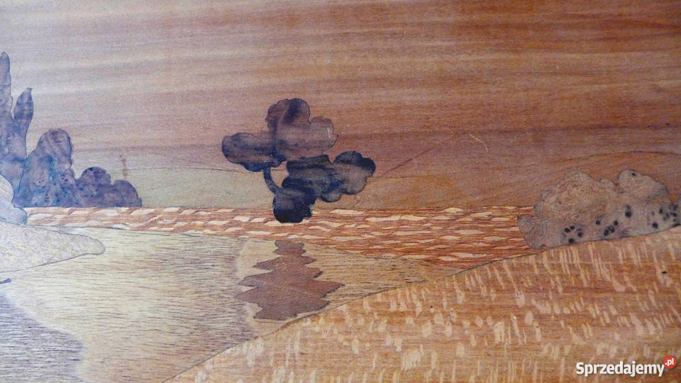 Secesyjne 2 płyciny CUDNE intarsje XIX w Warszawa