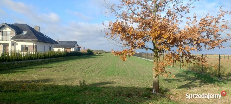 Działka rolnobudowlana 90ar prąd Sprzedaż