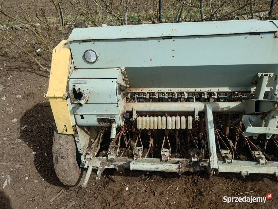 Siewnik poznaniak 27m Lipnica