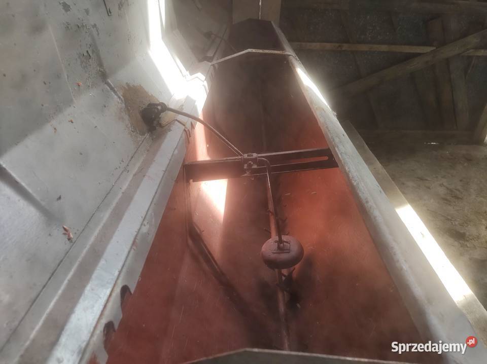 Siewnik poznaniak 25m pomorskie Rajkowy