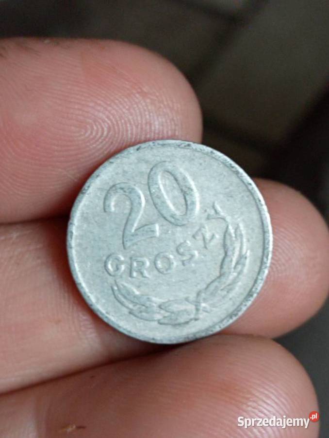 Sprzedam 20 groszy 1962 r bzm Chełm