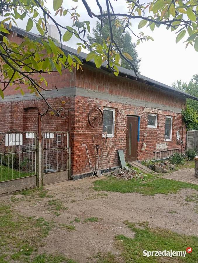 Sprzedam gospodarstwo rolne 5 hektarów z Łask