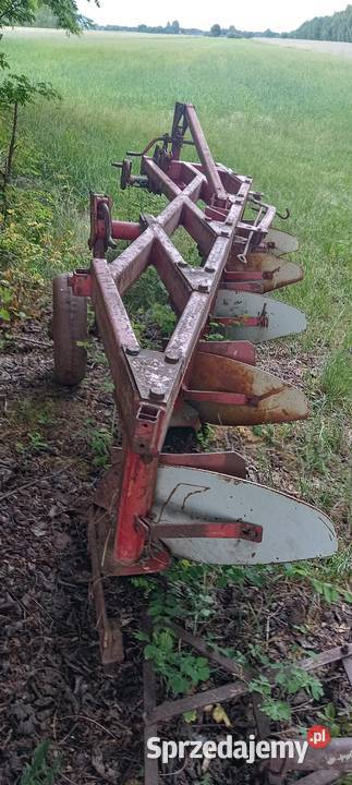Plug 5 skibowy Wartkowice