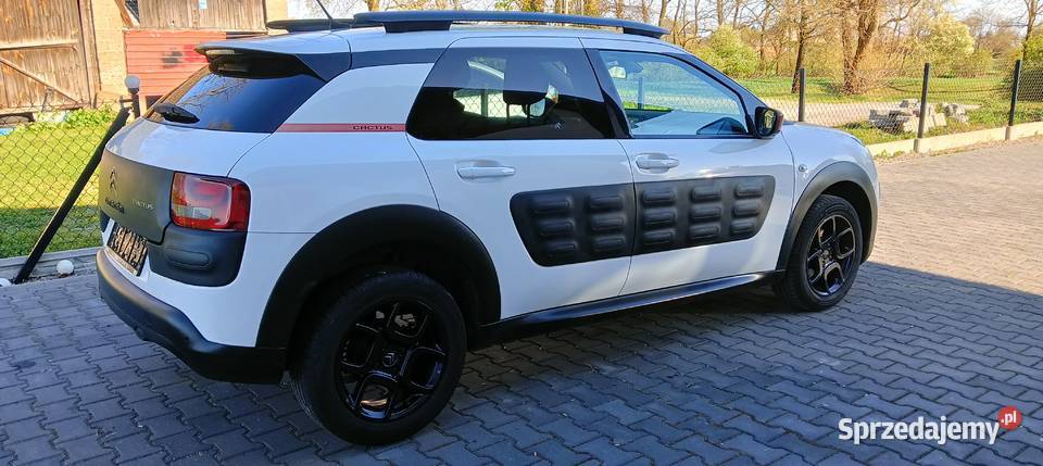 Citroen C4 Cactus nieuszkodzony C4 Cactus Mielec