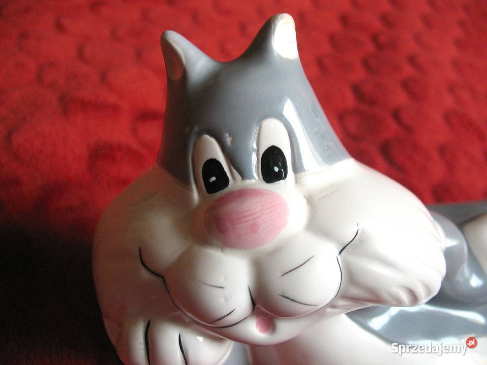 Kot Skarbonka 12 x 20 x 8 Kot Sylwester mazowieckie Siedlce sprzedam