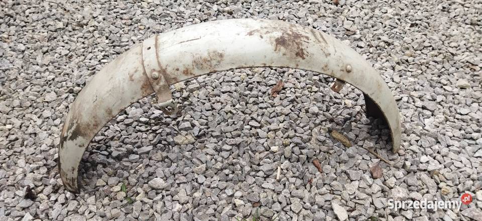 Błotnik płytki ptaki WSK Bąk kos gil lelek Dudek świętokrzyskie Maruszów