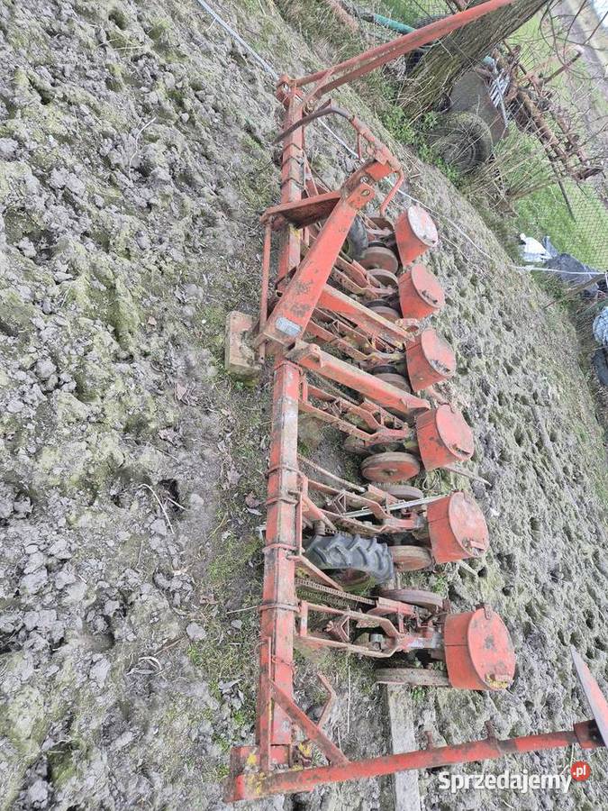 Siewnik gama 5 Opalenica sprzedam