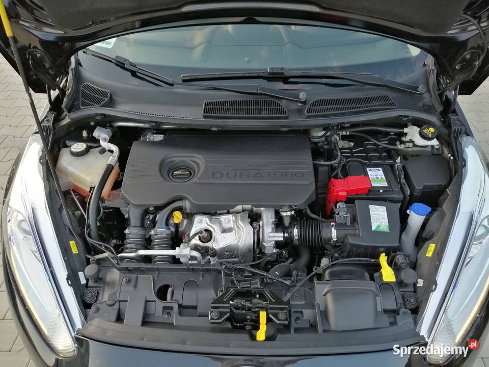 Ford Fiesta MK7 Lift 15 TDCI 75 Zarejestrowany w Motoryzacja Koziegłowy