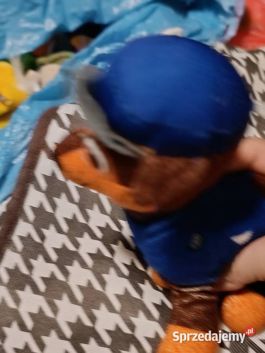 maskotka to pluszowa zabawka przedstawiająca Maskotki