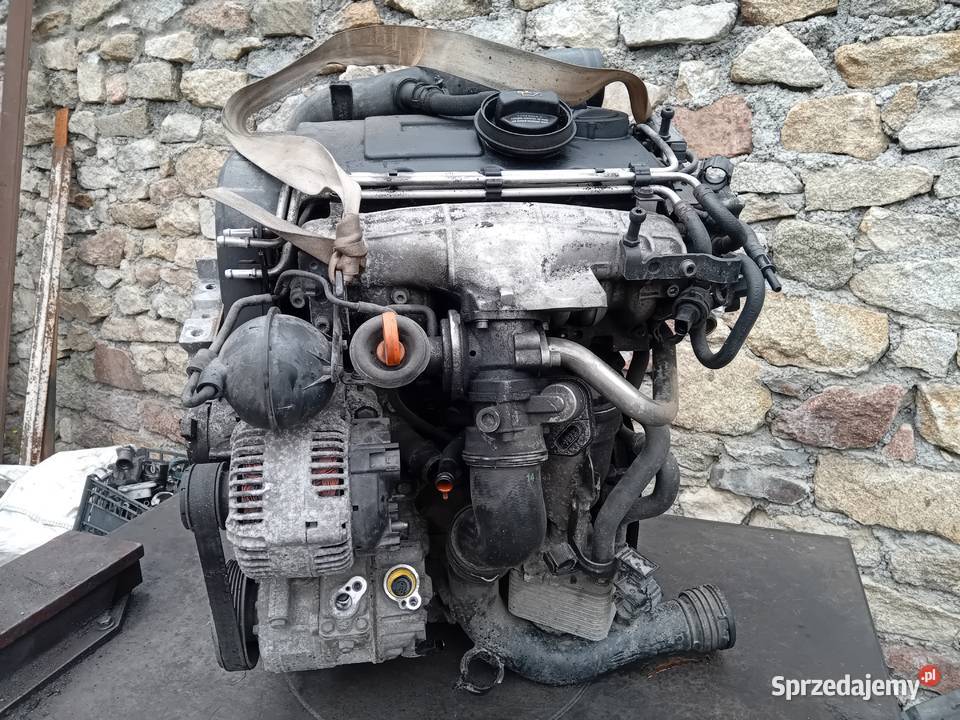 Silnik 20 16V Tdi BKD kompletny AUDI A3 8P VW Gołaszyce