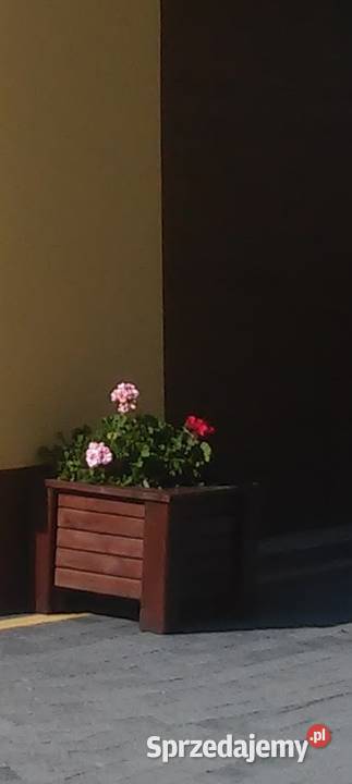 Donice Drewniane 50x50 Idealne na Taras i Ogród świętokrzyskie Wiślica