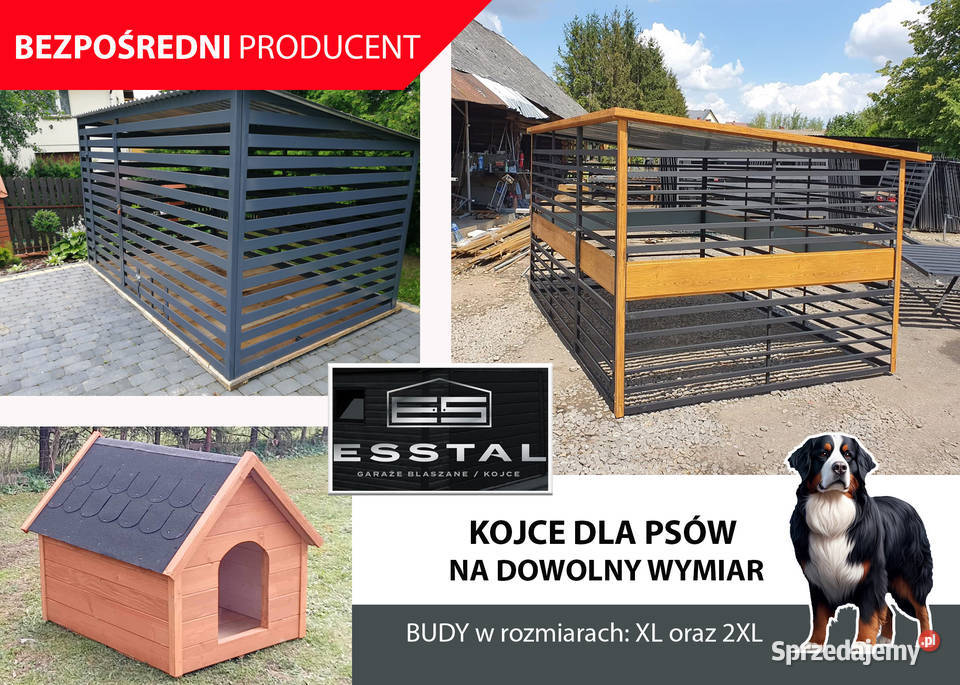 Kojec Psa KOJCE Psów Klatka Psa Zadaszenie Opole Lubelskie