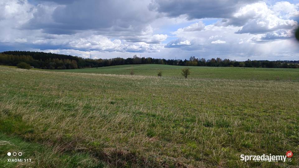 Działka z warunkami zabudowy bud Trelkowo