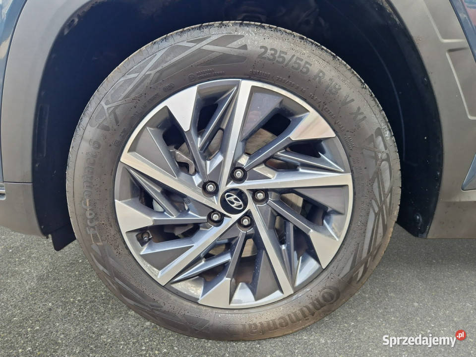 Hyundai Tucson 16 TGDi 48V Executive 4WD Z mazowieckie Warszawa
