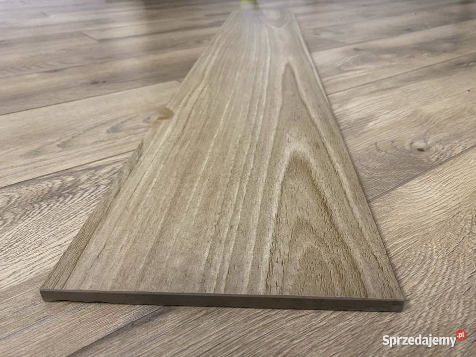 DREAMWOOD 20x120 gres drewnopodobny Płock