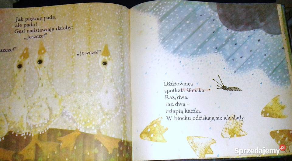 Dziewczynka i deszcz Milena Lukesova Jan twarda lubelskie Chełm sprzedam