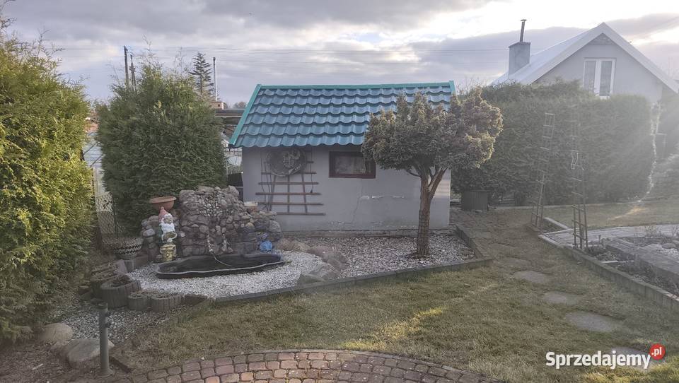 Działka ROD RELAX szambo Sprzedaż Świecie