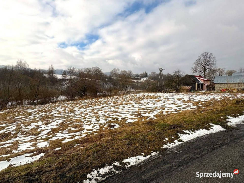 Działka na sprzedaż 2593m2 Paszowa