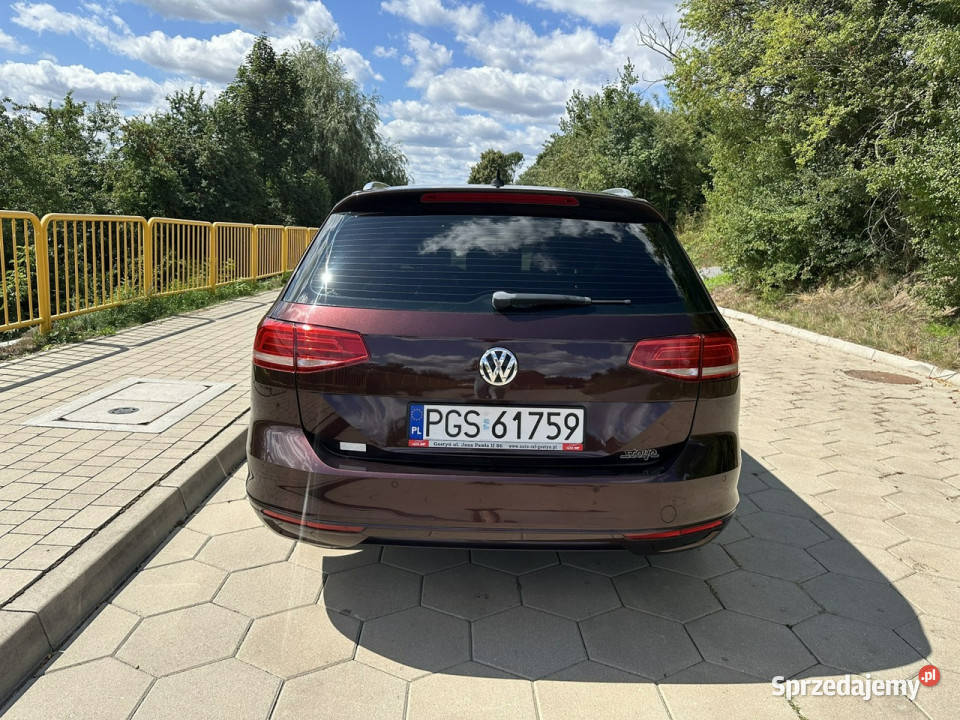 Volkswagen Passat Volkswagen Passat B8 16TDI Passat Gostyń