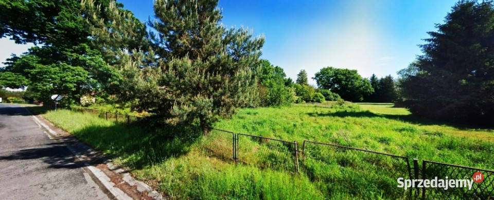 Kameralna działka budowlana Sprzedaż Jędrzychów