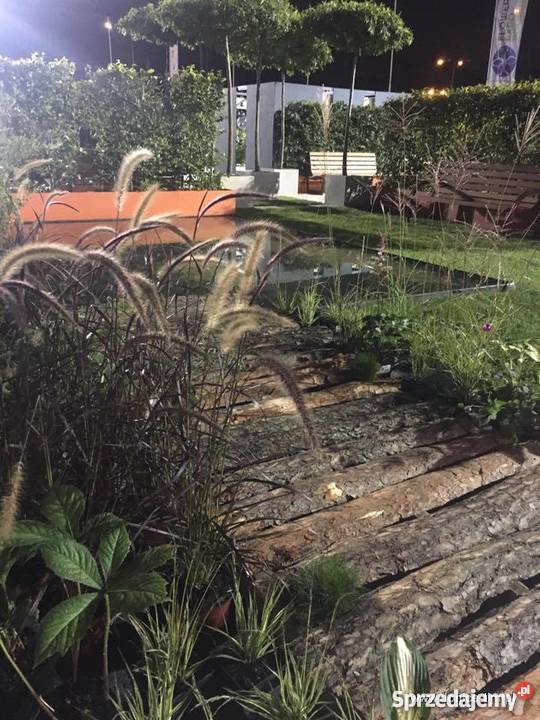 Duża donica na drzewo Architektura ogrodowa kujawsko-pomorskie Gajewo