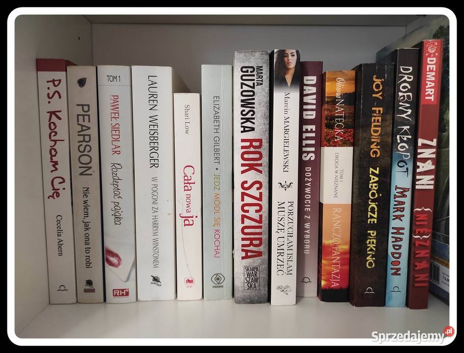 książki różna tematyka 10 sztuka mazowieckie Płock
