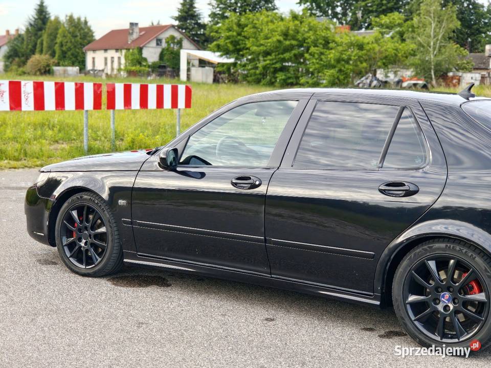 Saab 95 vector Radzymin