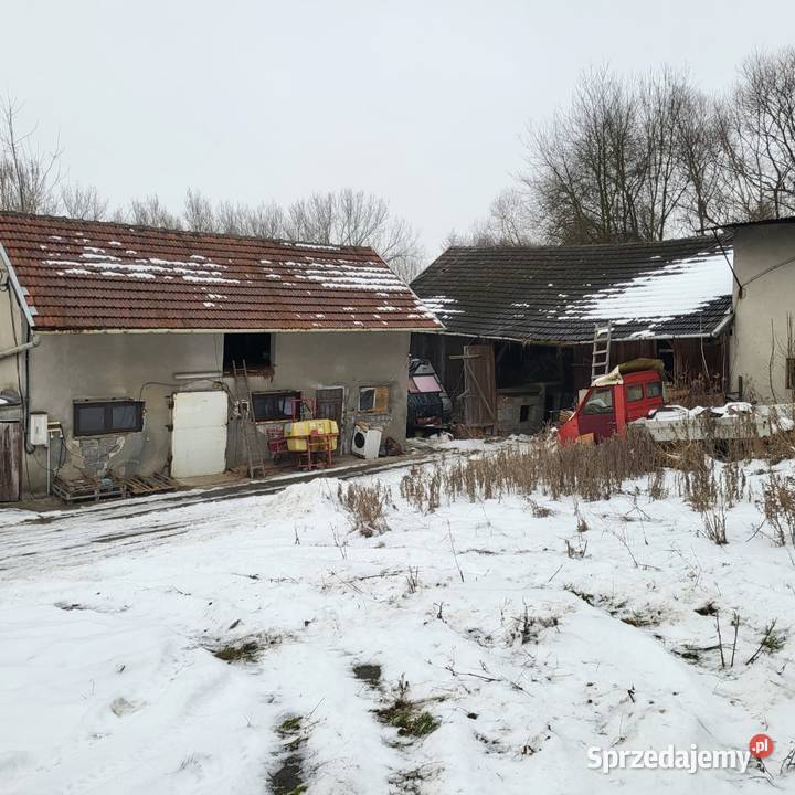 Sprzedam nieruchomość w miejscowości Prusy koł woda