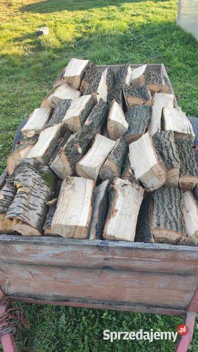 Drewno opalowe kominkowe