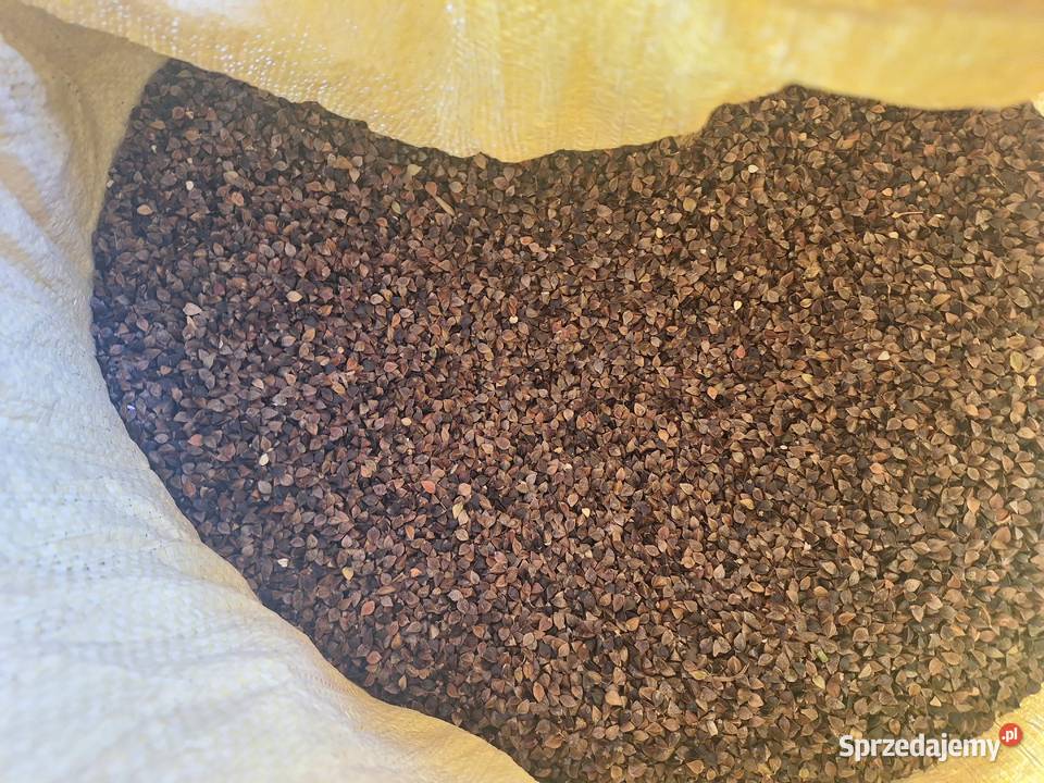 Sprzedam grykę centrali Małogoszcz sprzedam