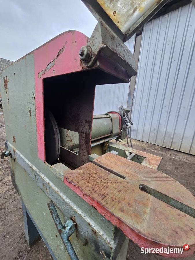 Piła Przecinarka tarczowa podlaskie Rudniki