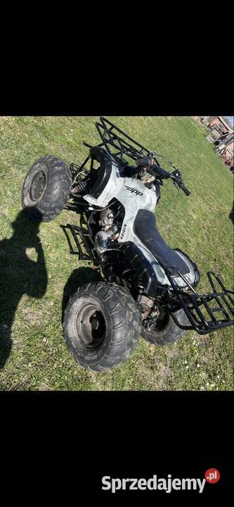 quad zipp 125 Dorohusk-Osada