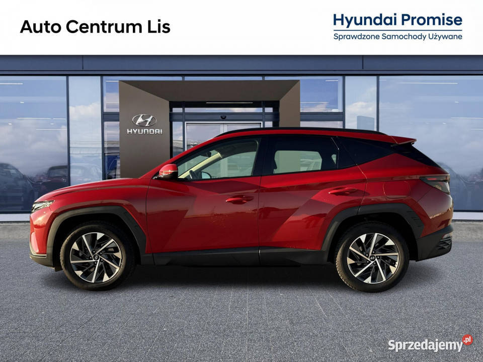 Salon Polska Autoryzowany dealer Smart Manual16 wielkopolskie Kalisz