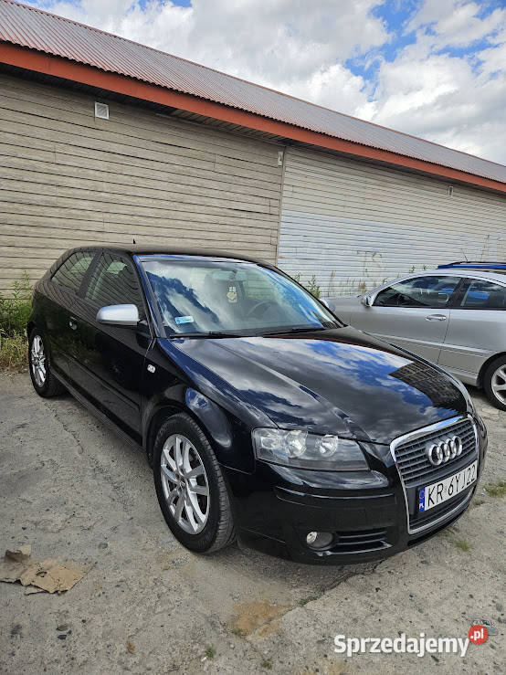 Audi A3 8P 16 Kraków