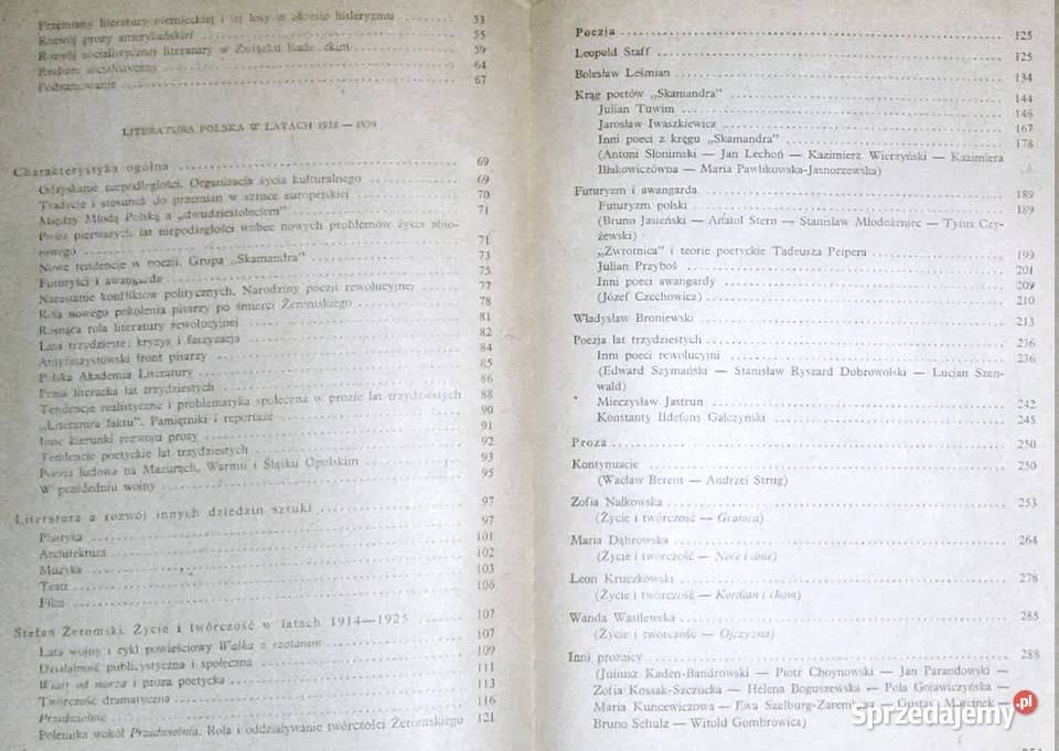 Literatura polska 19181939 kl 3 LO techników lubelskie Chełm