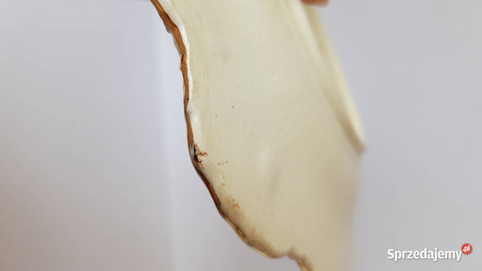 Stary ceramiczny talerzyk Imperial Bonn XIX w Pozostałe