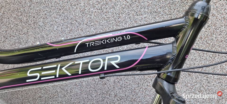 Rower sektor trekking 10 Goczałkowice-Zdrój