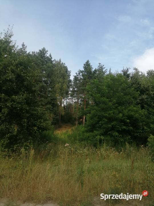 Działka 20zł/m2 Jeziórka