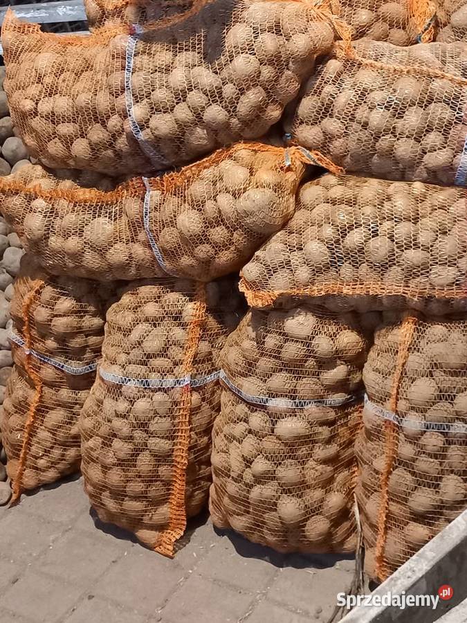 Ziemniaki jadalne opolskie Otmuchów